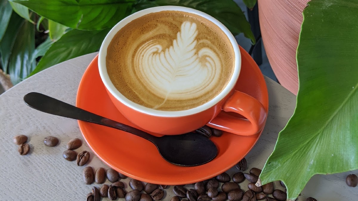 The Coffee House By Cashew's Artisans